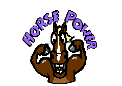 Pony Power