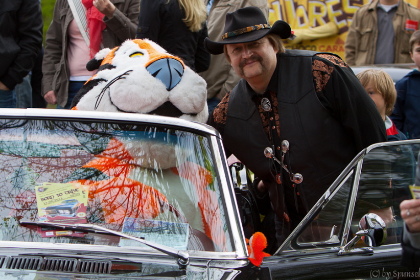 Ein wildes Pony und ein wilder Tiger, die verstehen sich